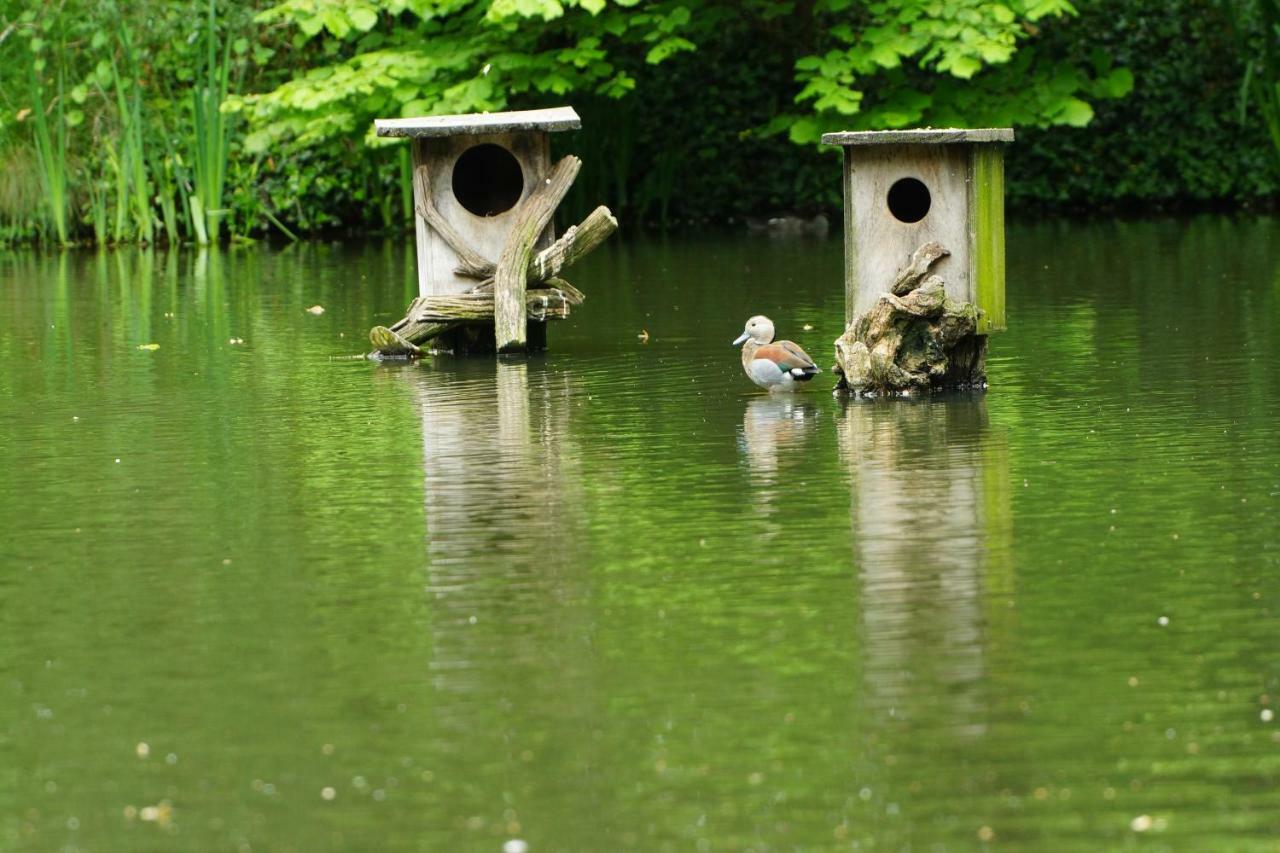 Gaestewohnung Hardinghaus Am Teich فارندورف المظهر الخارجي الصورة