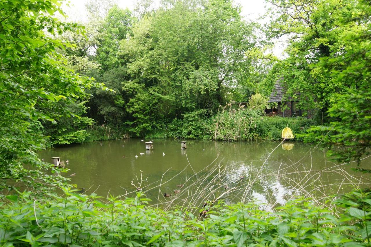 Gaestewohnung Hardinghaus Am Teich فارندورف المظهر الخارجي الصورة